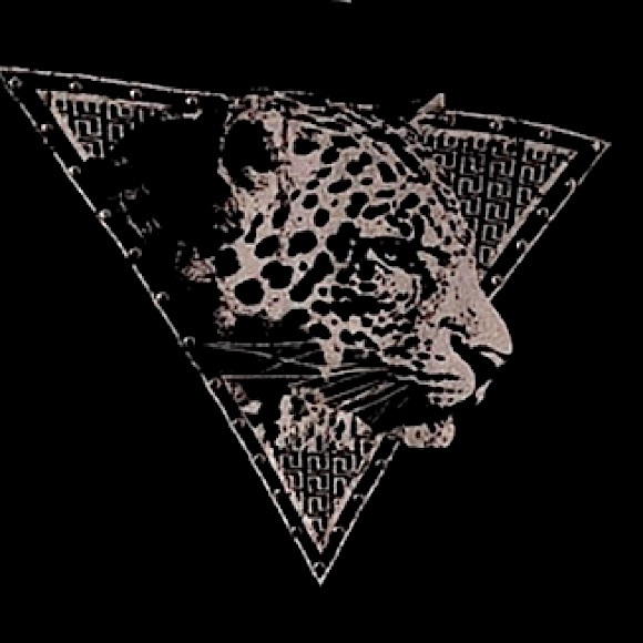 Charlotte Russe Assymetrical Off Shoulder High Low 3-D Tiger Short Sleeve Shirt - Picture 13 of 16